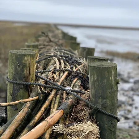 Apartment Haus Metropol 137