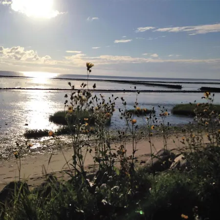 Haus Metropol 137 Apartment