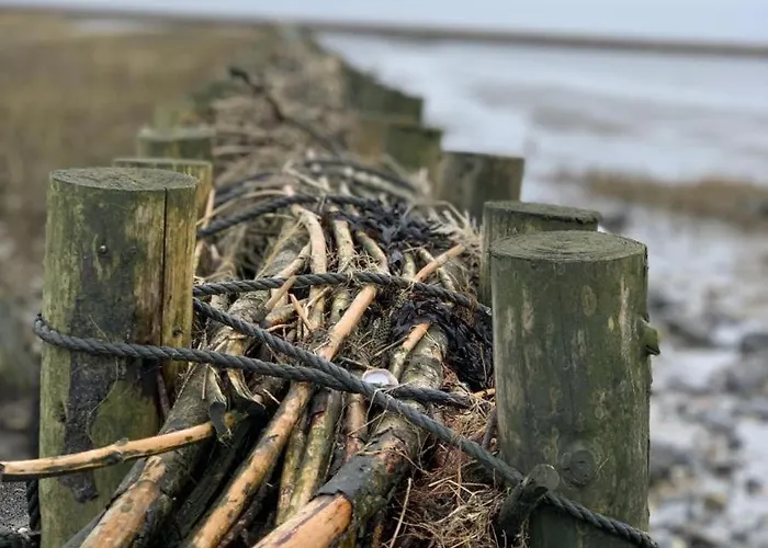 Appartement Haus Metropol 137