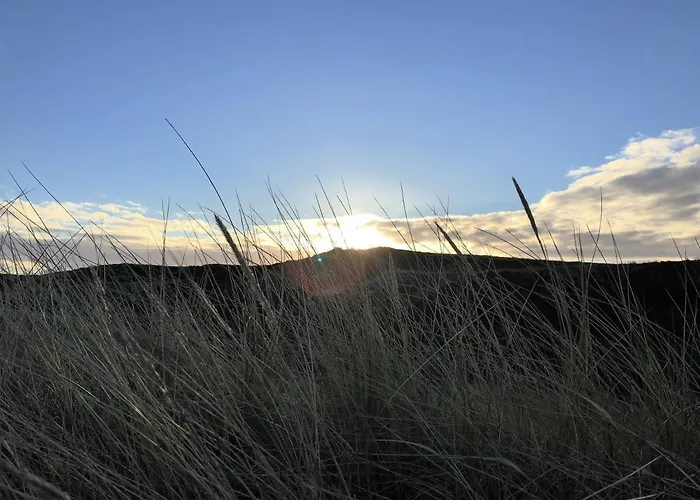 Haus Metropol 137 Appartement Westerland