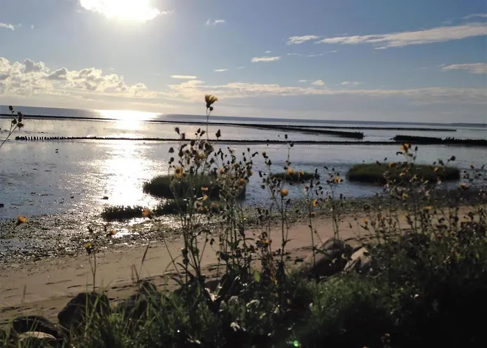 Haus Metropol 137 Appartement